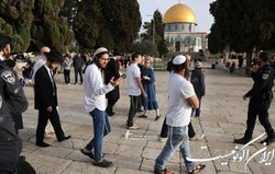 هتک حرمت مسجد الاقصی توسط شهرک نشینان تندرو