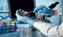 برگزاری کارگاه آزمایشگاه میکروب‌شناسی پزشکی