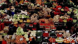 استفاده استاندارد از سموم محصولات کشاورزی و حفظ بازارهای صادراتی