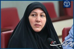 رونق تولید محصولات شیمیایی و نفتی با استفاده از ظرفیت‌های بخش خصوصی
