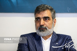 کمالوندی: بیانات رهبری انرژی مضاعفی به ما داد
