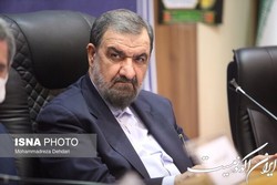 ۵ مسوولیت رضایی در دبیری شورای عالی هماهنگی اقتصادی قوا