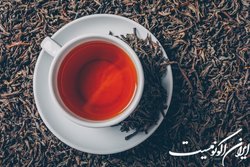 قیمت افزایش نمی یابد