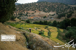 استفاده از تصاویر ماهواره خیام در پنجره مدیریت واحد زمین