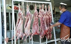 بازار گوشت قرمز به حال خود رها شده است