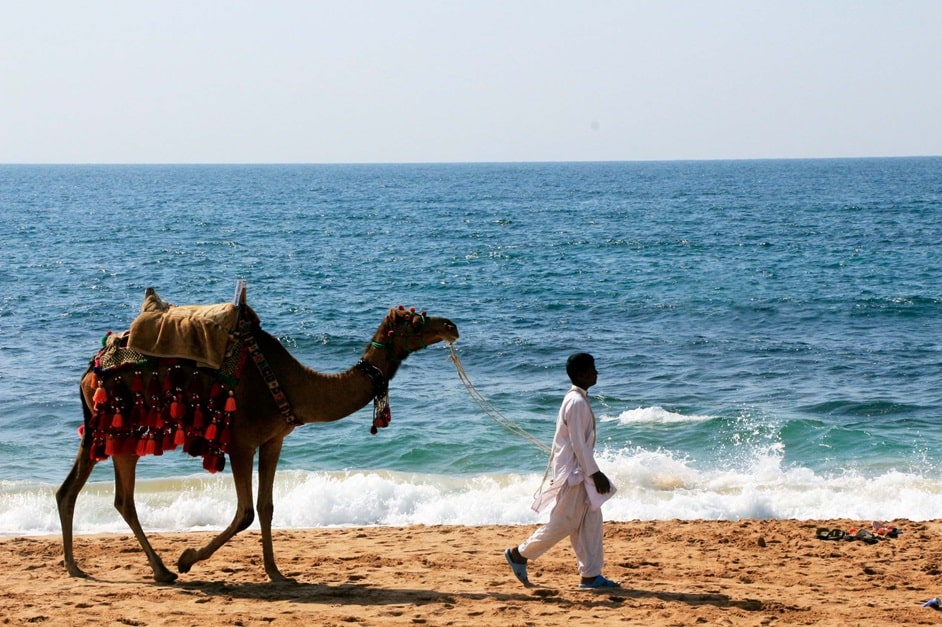 چابهارگردی در زمستان را از دست ندهید! چابهارگردی در زمستان را از دست ندهید!