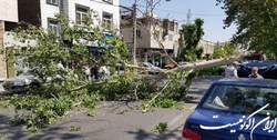 ‌وزش باد شدید و هشدار سقوط اشیاء ‌و شکستن‌ درختان در 9 استان