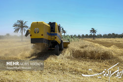 افزایش ۲ برابری تسهیلات تجهیز مکانیزاسیون کشاورزی