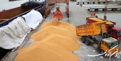 ضریب خودکفایی در کالاهای اساسی افزایش می‌یابد
