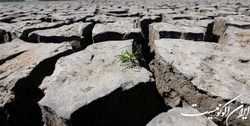 احتمال بروز بحران کمبود غذا در کشورهای حوزه بالتیک