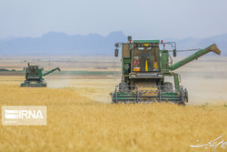 ارتقای ضریب خودکفایی کالاهای اساسی در دستور کار است