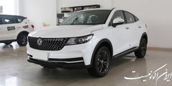 عرضه دیگنیتی در بورس کالا لغو شد