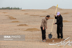 تلاش برای کاهش اراضی بیابانی تهران