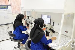 آغاز فرایند برگزاری مرحله شفاهی آزمون فلوشیپ