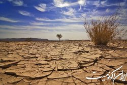 مهاجرت ۳۳ میلیون نفر در دنیا به دلیل تغییرات اقلیمی