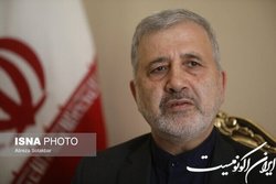 عنایتی: امنیت منطقه با کشورهای آن تامین می‌شود