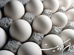 قیمت تخم‌مرغ کاهش یافت؛ نرخ مصوب ۱۰۰ هزار تومان