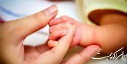 نام نویسی 436 هزار و 550 نفر برای دریافت سهام نوزادان متولد 1401