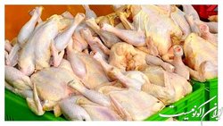 هر کیلو ۷۳ تا ۸۵ هزار تومان