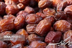 ۳۰ درصد از خرمای ایران صادر می‌شود