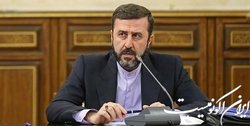 غریب آبادی: آمریکا به مهاجران و زندانیان احترام‌ نمی‌گذارد