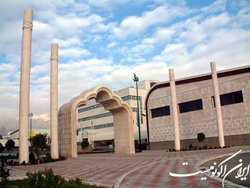 رئیس آکادمی ملی المپیک مشخص شد