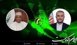 امیرعبداللهیان: نشست اضطراری شورای وزیران خارجه کشورهای اسلامی در مورد اهانت به قرآن برگزار شود