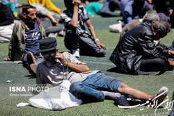 انتقاد از تمرکز بر ساماندهی معتادان متجاهر؛ تنها ۳ درصد معتادان، متجاهرند