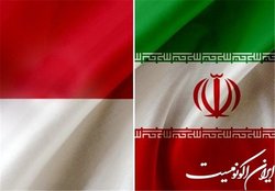 توافقات همکاری معاونت علمی ریاست‌جمهوری با وزارت بهداشت اندونزی پیگیری شد
