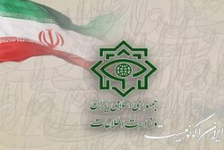 تقدیر وزارت اطلاعات از دولت آلبانی