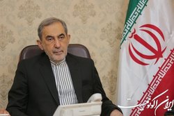 ولایتی: روابط با مصر بسیار مهم است