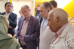 اجرای طرح ویروس‌درمانی سرطان در پژوهشکده سرطان معتمد