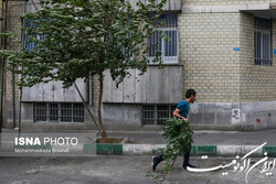 وزش باد شدید در غرب و جنوب تهران