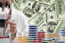 اختصاص ۴۵ میلیارد برای پژوهشگران یک درصد برتر دنیا در دانشگاه‌های علوم پزشکی