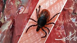 ۲۸ نفر در کشور مبتلا به تب کریمه کنگو شدند