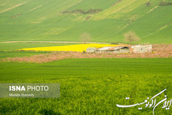 آفریقا ظرفیت‌های خوبی برای کشاورزی فراسرزمینی دارد