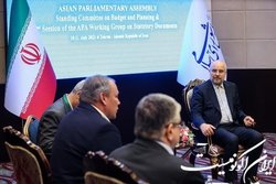 نایب رییس دومای روسیه: اهانت به قرآن به عنوان یک جرم تلقی می شود
