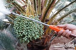 فهرست جدید اقلام برای تجارت تهاتری