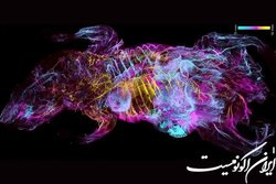 ابداع روشی برای تشخیص تومورهای سرطانی کوچک