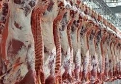 معاوضه نیسان آبی ایران با گوشت قرمز کنیا