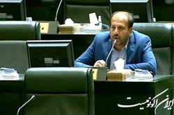 نوروزی: دستور رئیس‌جمهور برای خرید برنج کشاورزان سریع‌تر اجرایی شود