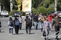 باید به دنبال احیای جنبش خانواده در دل دانشگاه‌ها باشیم