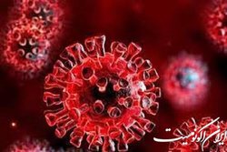 روز صفر مرگ و میر کرونایی در کشور