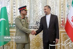 قدردانی امیرعبداللهیان از فرمانده ارتش پاکستان