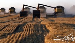 برنامه کشت قراردادی ۱۴۰۳-۱۴۰۲ ابلاغ شد