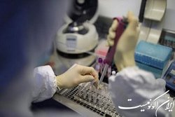 دستیابی فناوران به فرمولاسیون تولید آنزیم‌های نشاسته و الکل