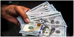 آوار اخبار سیاسی بر سر قیمت دلار