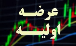 فردا، عرضه اولیه سهام یک شرکت هم برای مردم و هم برای صندوق ها