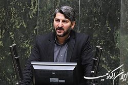 باقرزاده: واردات برنج را متوقف کنید