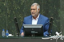 حسن پور: وزیر اقتصاد و رئیس بانک مرکزی به وضعیت پرداخت وام‌ها ورود کنند